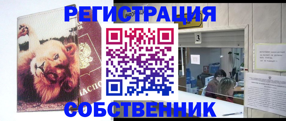 прописка поиск в Фокино